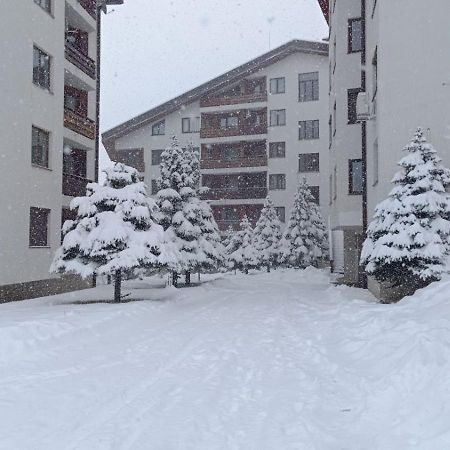 Studio Detelina Residence Bansko Exteriör bild