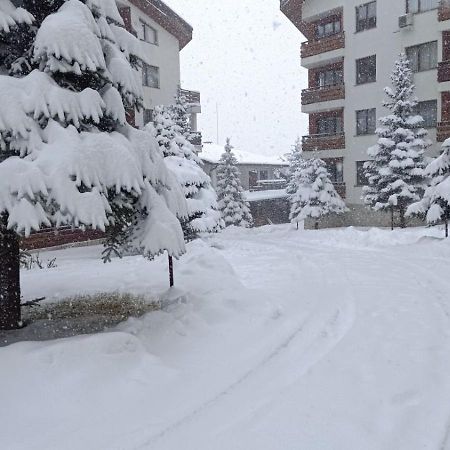 Studio Detelina Residence Bansko Exteriör bild
