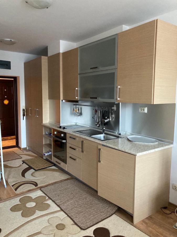 Studio Detelina Residence Bansko Exteriör bild