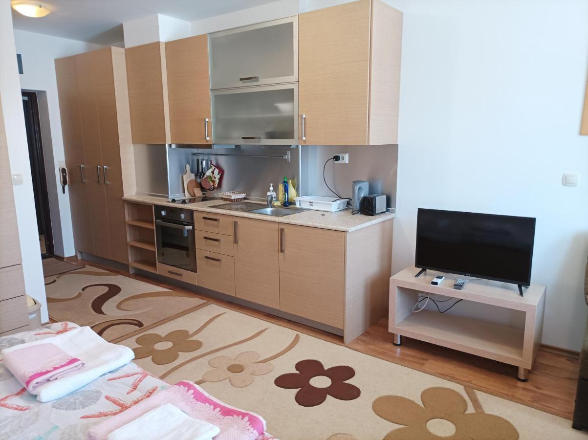 Studio Detelina Residence Bansko Exteriör bild