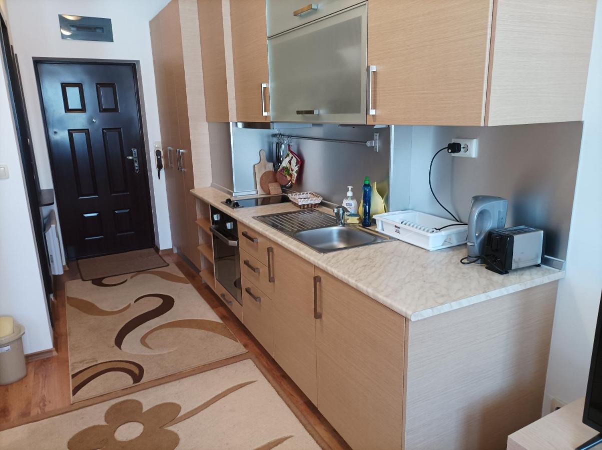Studio Detelina Residence Bansko Exteriör bild