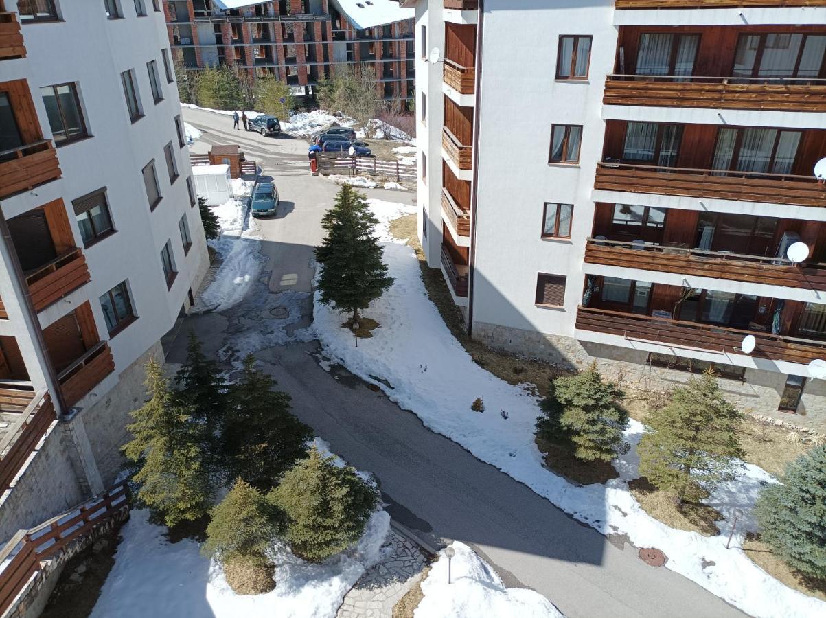 Studio Detelina Residence Bansko Exteriör bild