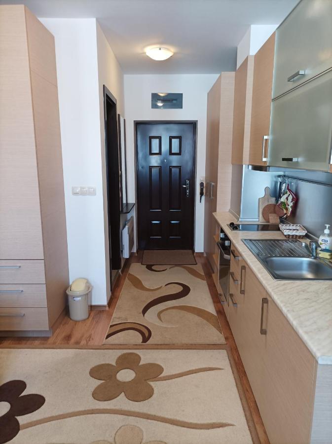 Studio Detelina Residence Bansko Exteriör bild