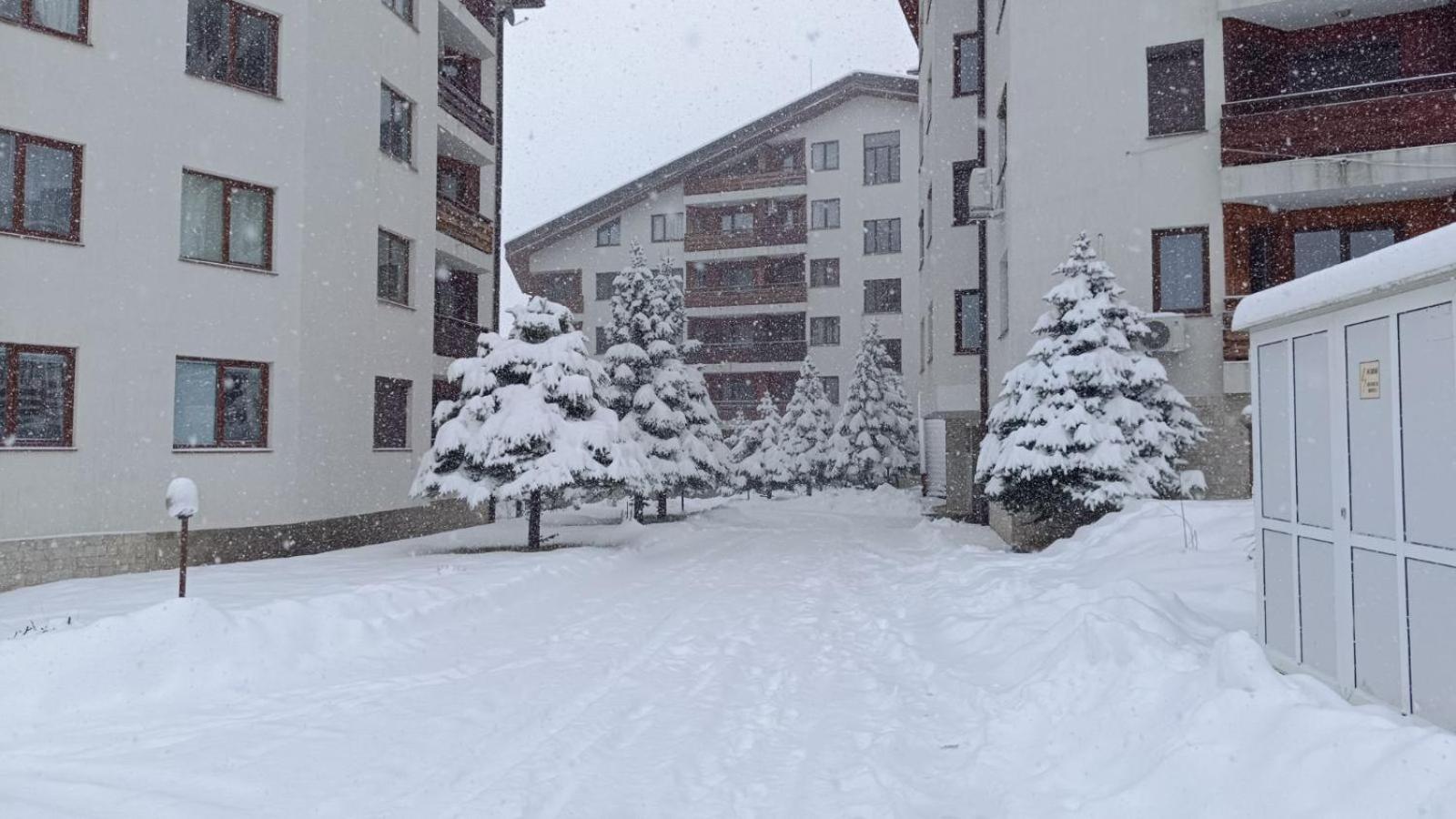 Studio Detelina Residence Bansko Exteriör bild