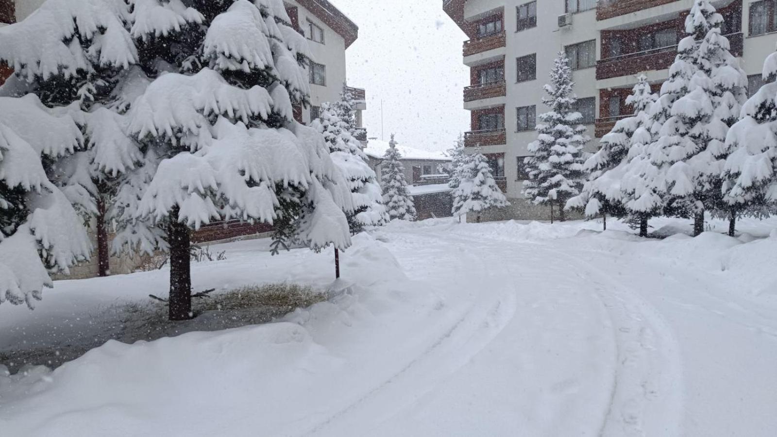 Studio Detelina Residence Bansko Exteriör bild
