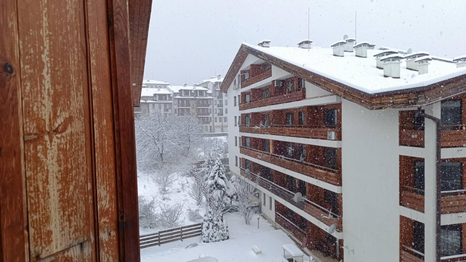 Studio Detelina Residence Bansko Exteriör bild