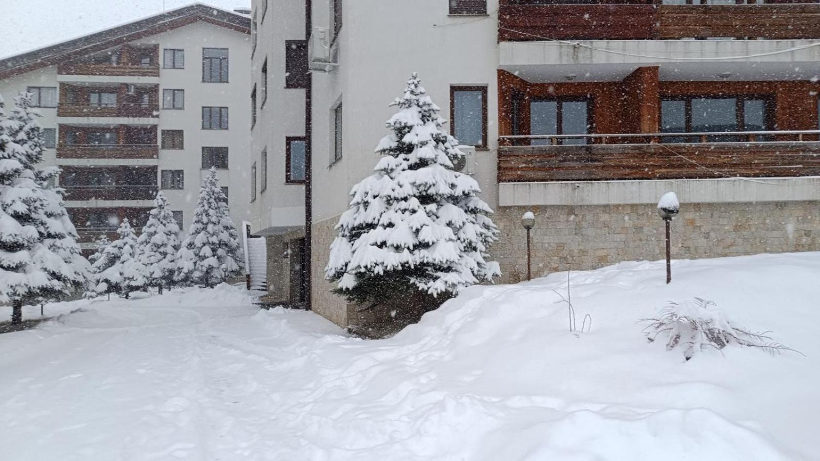 Studio Detelina Residence Bansko Exteriör bild