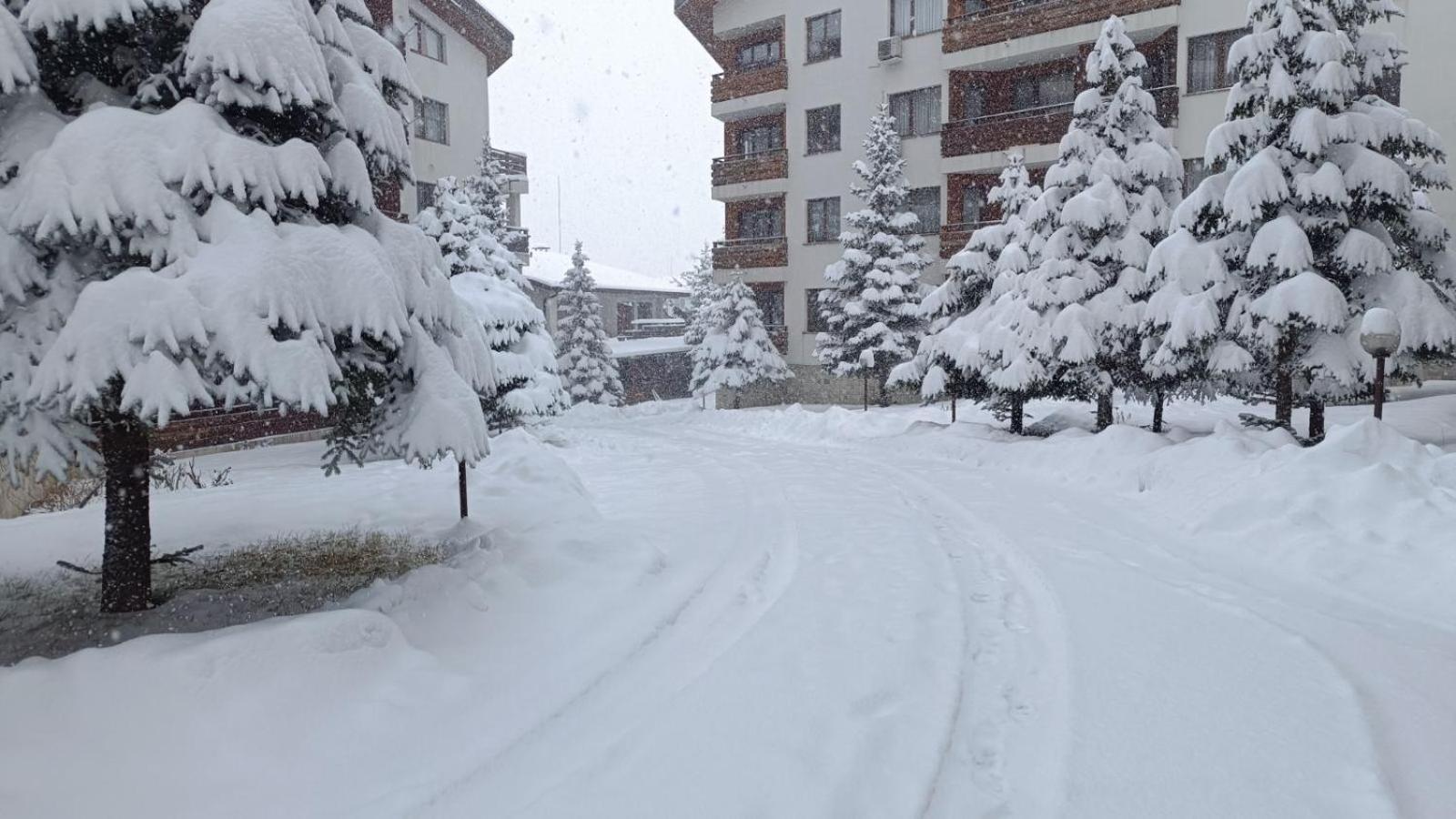 Studio Detelina Residence Bansko Exteriör bild