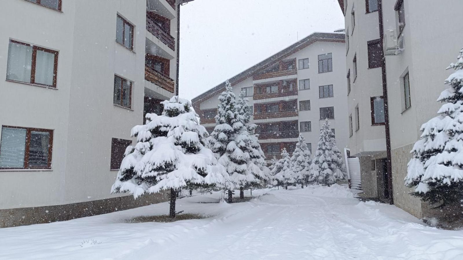 Studio Detelina Residence Bansko Exteriör bild