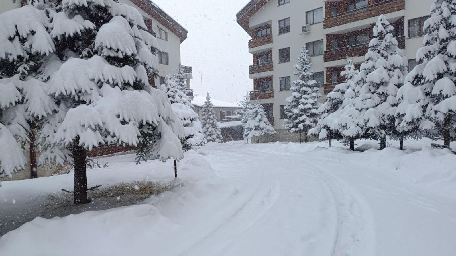 Studio Detelina Residence Bansko Exteriör bild
