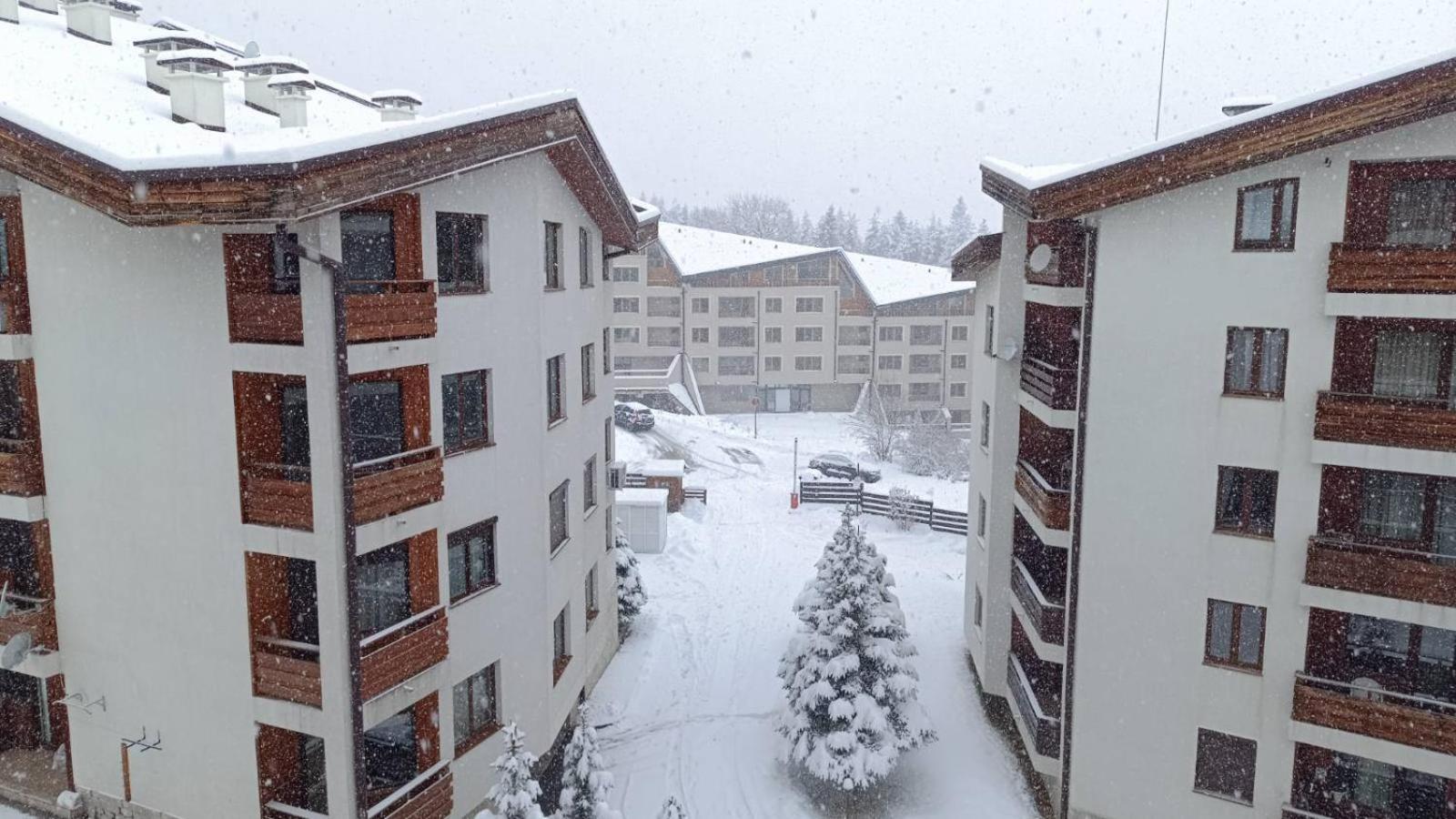 Studio Detelina Residence Bansko Exteriör bild