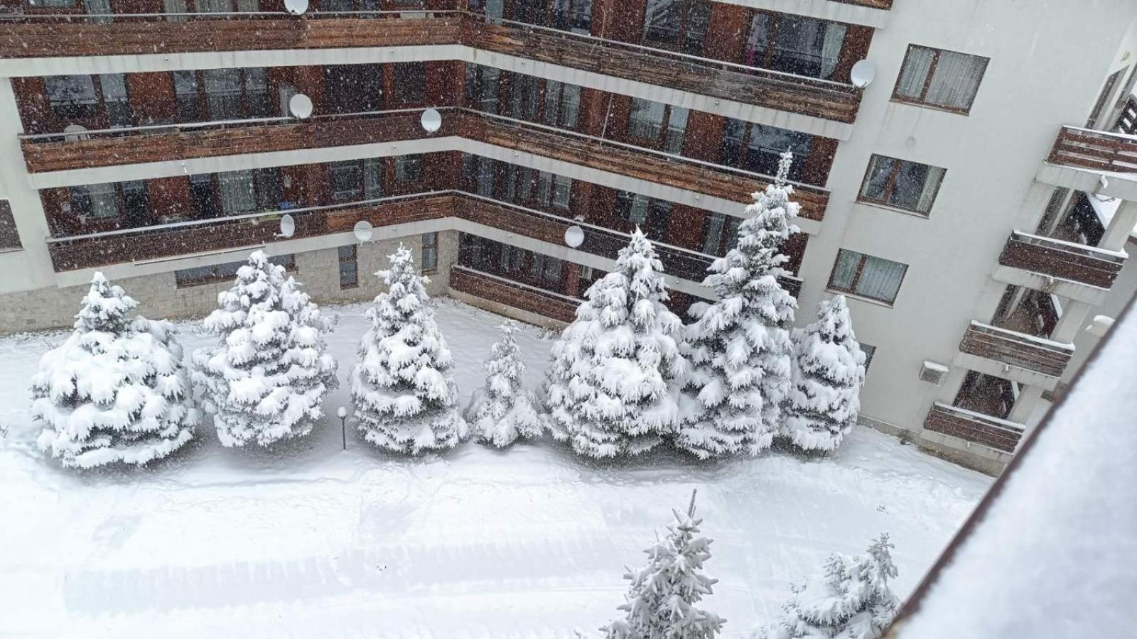 Studio Detelina Residence Bansko Exteriör bild
