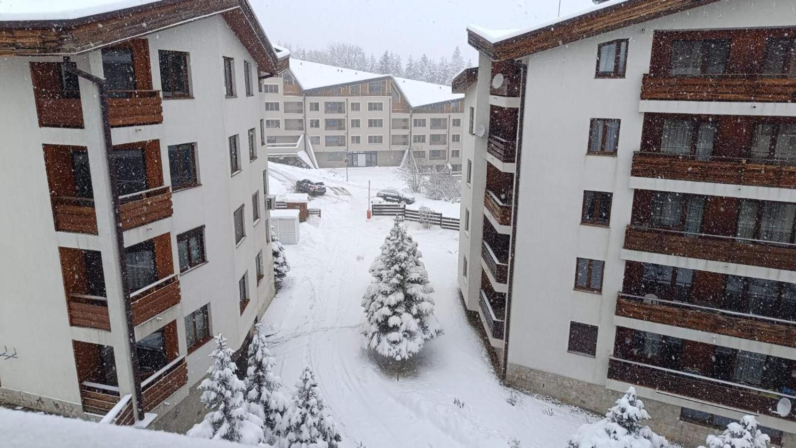 Studio Detelina Residence Bansko Exteriör bild